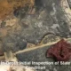 Slate Floor Restoration Timeline for Aussie Homes