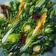 Fresh and Flavorful Salad Recipes for Every Meal