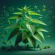 Nettle for Allergies: A UK-Sourced Natural Solution