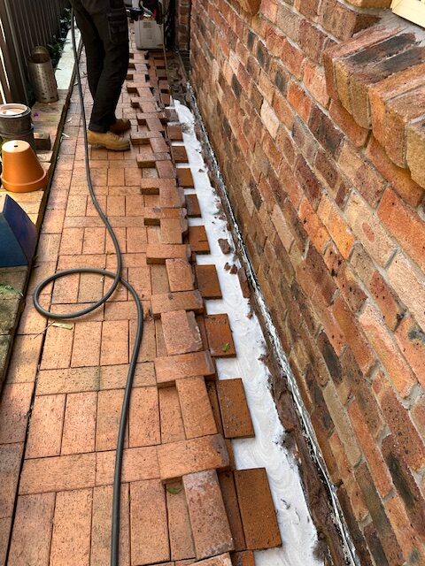 Termite Protection Systems: Your Reliable Defence in Sydney