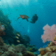 Belize Barrier Reef: Snorkeling Adventure Awaits in 2025