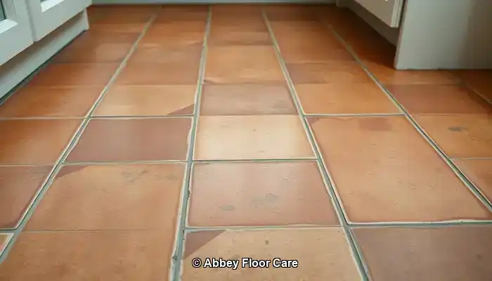 Understanding the Rapid Soiling of Terracotta Floors