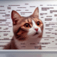Cat Memes: Your Guide to Feline Internet Fame
