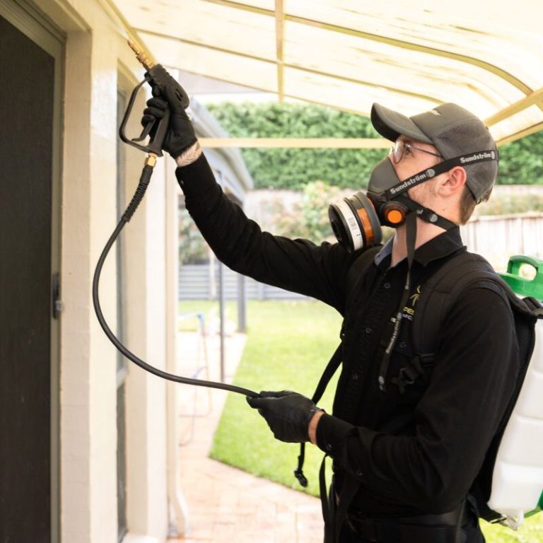 Roof Dusting Pest Control: Why It’s Sometimes Essential