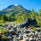 Xero Shoes Coupons for Fantastic Footwear Discounts